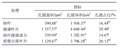 黃瓜555.png